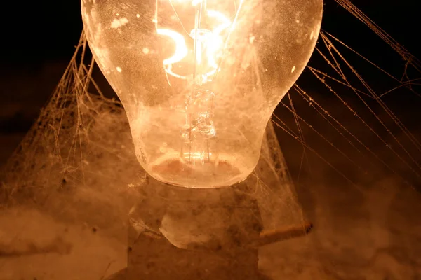 Light Bulb Spider Web — стоковое фото