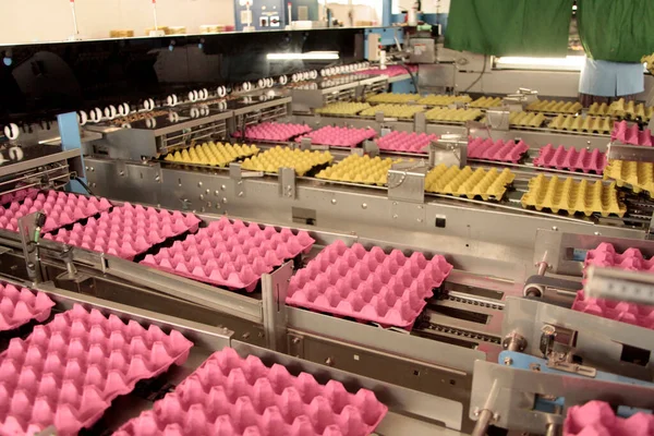 Egg Cartons Production Line — Stock Fotó