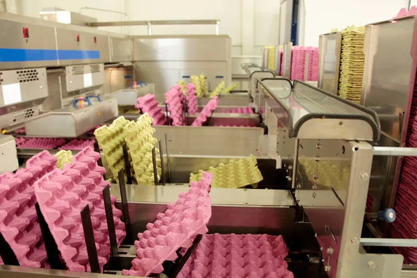 Egg Cartons Production Line — Stockfoto