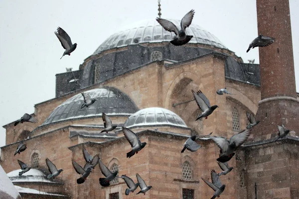 Konya Serafettin Moschee Und Tauben — Stockfoto