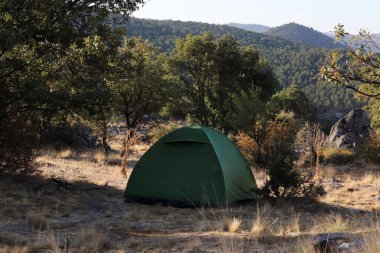 Ağaçların arasında kamp çadırı