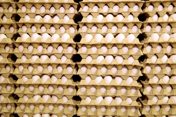  Yumurta fabrikasında taze yumurta. Yumurta fabrikası endüstrisi.