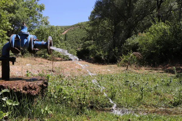 Irrigazione Del Terreno Con Motore Acqua — Foto Stock
