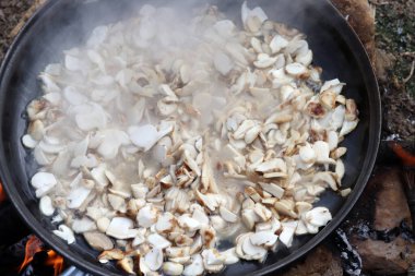 Mantar sotesi. Türkiye 'deki doğal alanında, sedir ağaçlarının altında yetişir. Taurus Dağları 'nda yetişen Matsutake mantarı Japonya ve Çin' e ithal edilir..