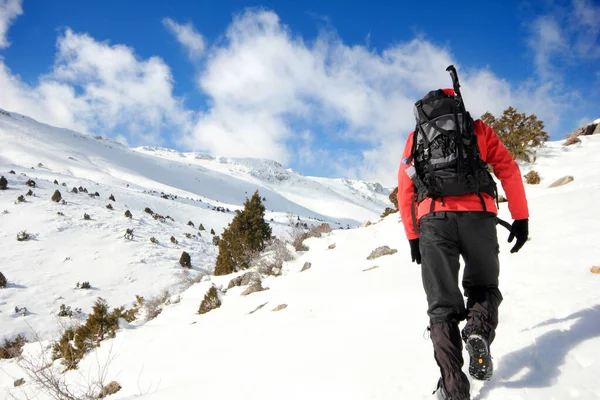 Ein Mann Klettert Wintersport — Stockfoto