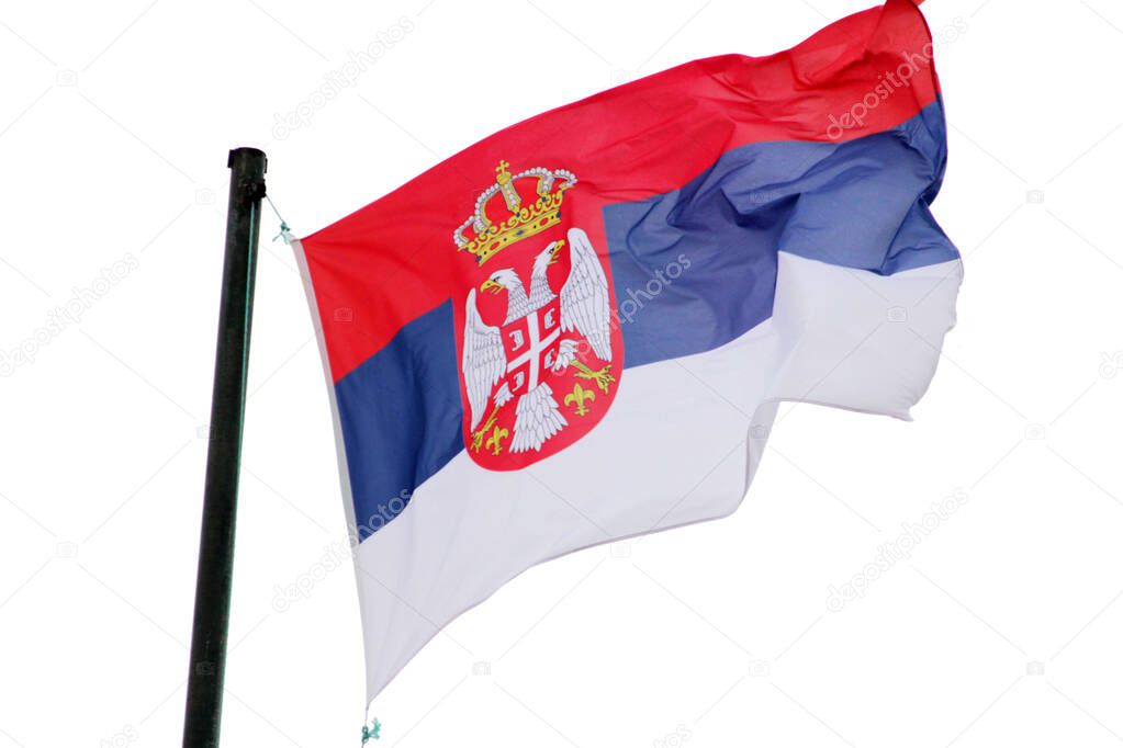 Serbia flag on a white background