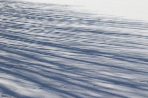 Schnee Bedeckt Feld Textur Hintergrund — Stockfoto