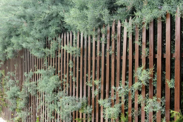 Деревянный Забор Саду — стоковое фото