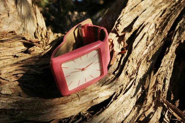 Orologio Polso Rosa Sull Albero — Foto Stock