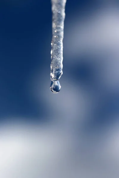 Eiszapfen Schmelzen Der Sonne — Stockfoto