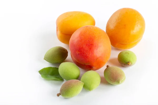 Groene Verse Abrikozen Rijpe Abrikozen Een Witte Achtergrond — Stockfoto