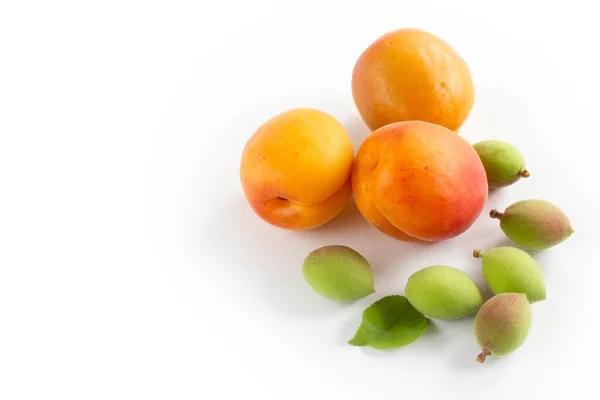 Groene Verse Abrikozen Rijpe Abrikozen Een Witte Achtergrond — Stockfoto