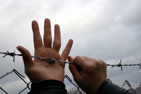 barbed wire mesh and woman's hands