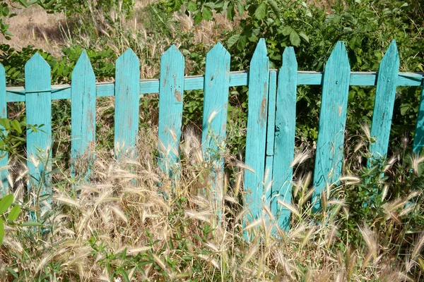 Turquoise Wooden Garden Fence Yellow Grass — Zdjęcie stockowe