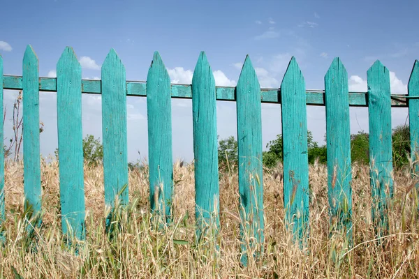 Turquoise Wooden Garden Fence Yellow Grass — Stock fotografie