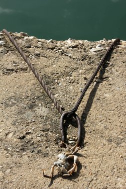 Iron ring and wire rope, a dead crab