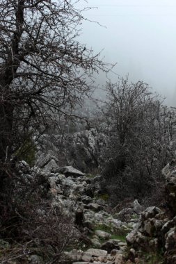 Beautiful nature scenery. Wilderness Area