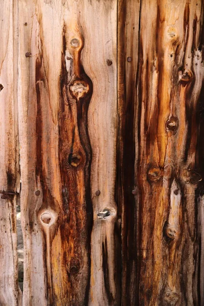 Wood Plank Background Texture Abstract — Stock Photo, Image