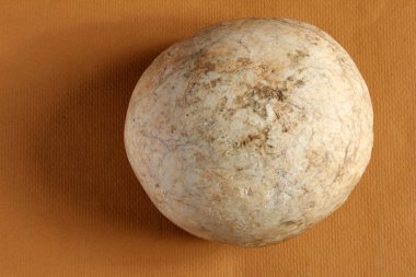 round stone on colored background