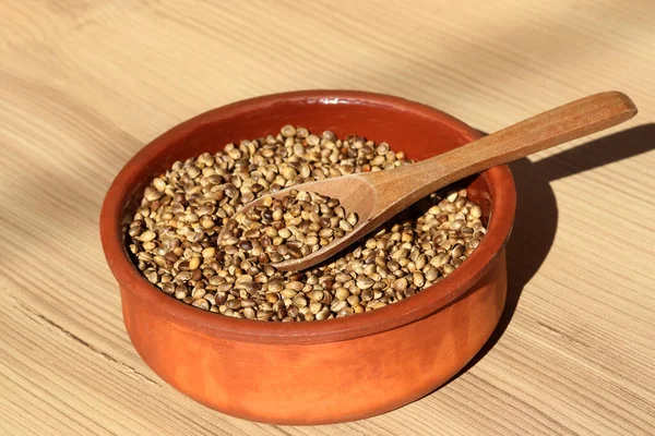 Roasted Hemp Seeds Plate — Stock Photo, Image