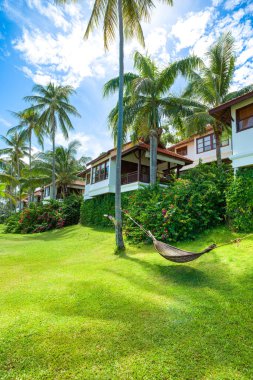 Tayland 'daki Koh Samui adasında plaj villaları olan yeşil sahilin güzel tropik manzarası.
