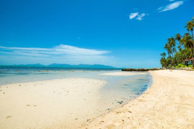 Koh Samui adasının yeşil kıyılarının güzel tropikal manzarası 