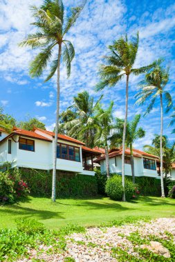 Tayland 'daki Koh Samui adasındaki yeşil sahil ve plaj villalarının güzel tropikal manzarası.