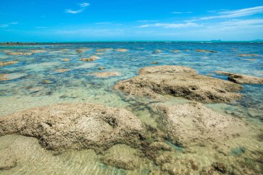 Koh Samui Adası, Tayland 'ın yeşil kayalık kıyılarının güzel tropikal manzarası