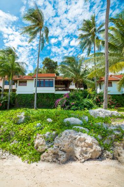 Tayland 'daki Koh Samui adasında kumlu plajları ve kıyı villaları olan güzel tropikal bir manzara.