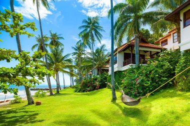 Koh Samui, Tayland - 31 Temmuz 2019: Koh Samui adasında tropikal villaları olan güzel yeşil kıyı manzarası