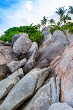 Koh Samui Adası, Tayland 'ın yeşil kayalık kıyılarının güzel tropikal manzarası