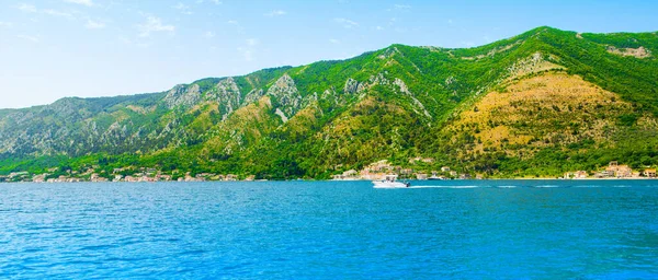 Kaunis Kesämaisema Kotorin Lahden Rannikolla Boka Bay Montenegro — kuvapankkivalokuva