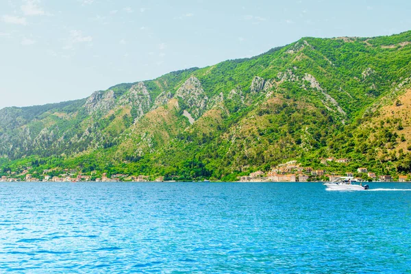 Kotor Montenegro June 2022 Beautiful Summer Landscape Bay Kotor Coastline — Stok fotoğraf