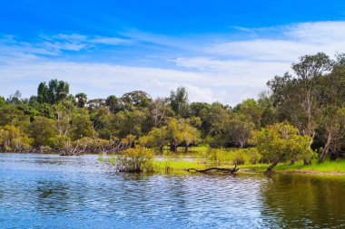 Tayland 'ın Phuket adasında tropikal gölü olan güzel bir manzara.