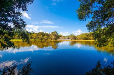 Tayland 'ın Phuket adasında tropikal gölü olan güzel bir manzara.