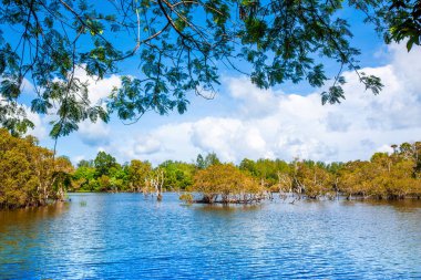 Tayland 'ın Phuket adasında tropikal gölü olan güzel bir manzara.