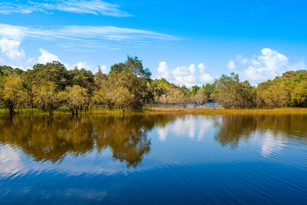 Tayland 'ın Phuket adasında tropikal gölü olan güzel bir manzara.