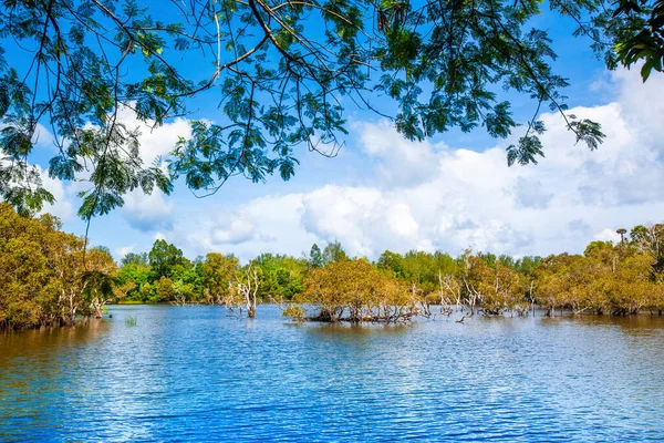 Tayland 'ın Phuket adasında tropikal gölü olan güzel bir manzara.