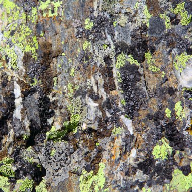 görüntü renkli doku