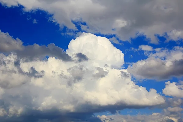 Imagen del cielo esponjoso del verano —  Fotos de Stock