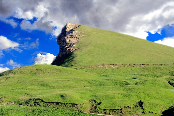 Caucasus montanhas verdes — Fotografia de Stock