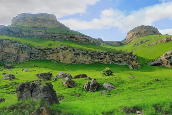 Caucasus montanhas verdes — Fotografia de Stock