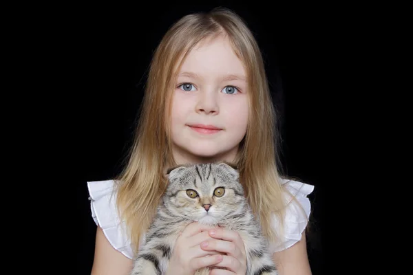 灰色の猫の女の子 — ストック写真