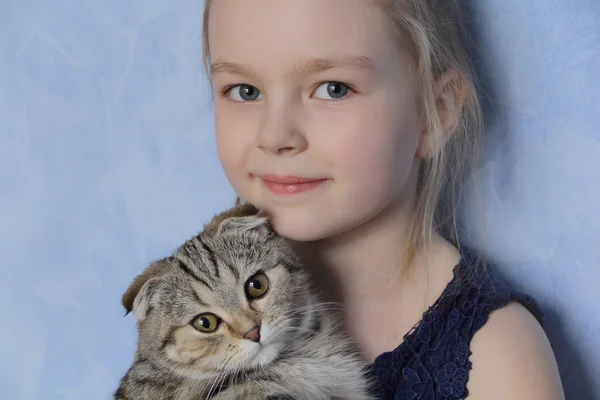 Девушка с серым котенком — стоковое фото