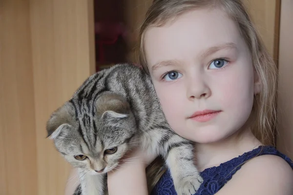 Menina com gatinho cinza — Fotografia de Stock