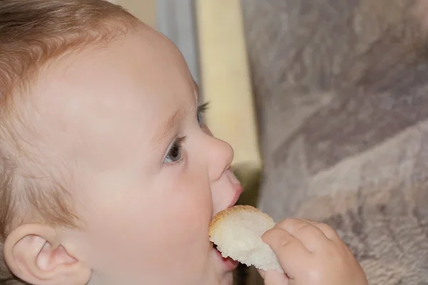 Cute baby boy eating bread — Stock Photo, Image