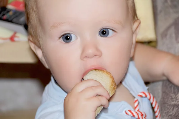 Cute baby boy eating bread — Stock Photo, Image