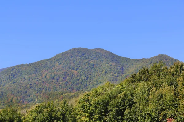 夏天风景与高加索绿山 — 图库照片