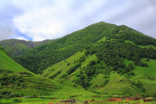 Zomer landschap met Kaukasus groene bergen — Stockfoto