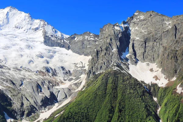 Caucasus mountains Dombai — Stock Photo, Image